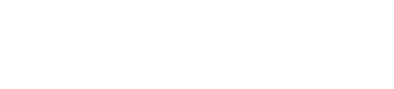EmpireOne Insurance Consultants - Logo 800 White